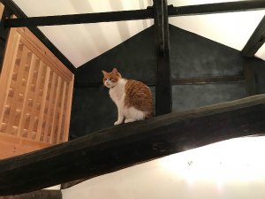 サンケイリビング新聞社より取材を受けました！